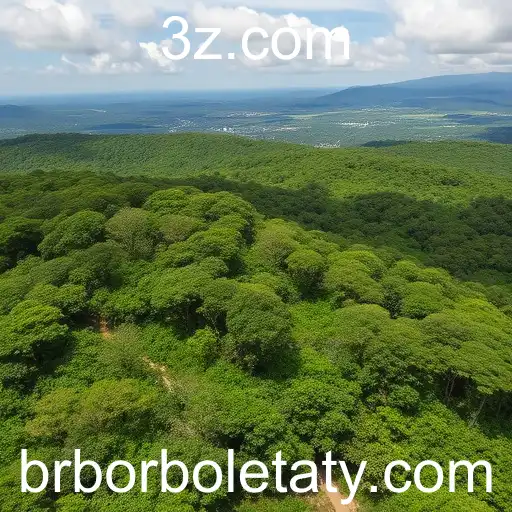 Impacto das Borboletas na Conservação Ambiental
